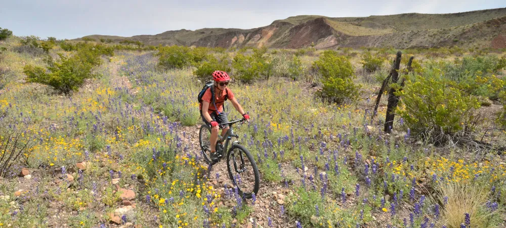 Photo of Desert Sports