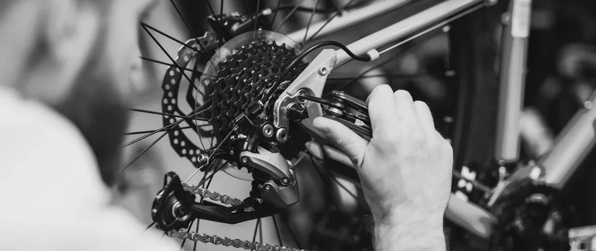 Photo of Tacoma Bike