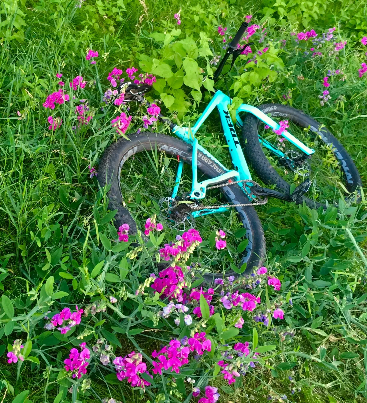 Photo of Breaking Free Bikes