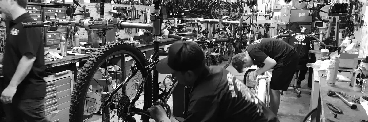 Photo of Blue Line Bicycle Laboratory